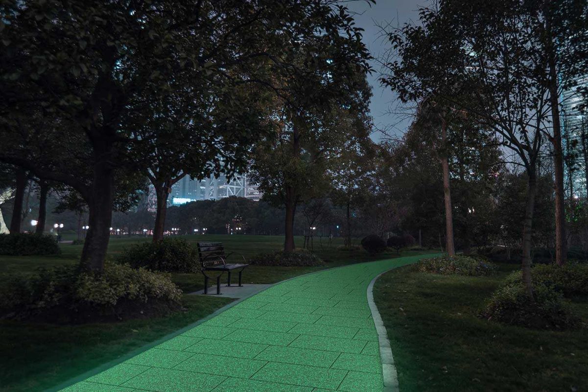 Viale parco di notte