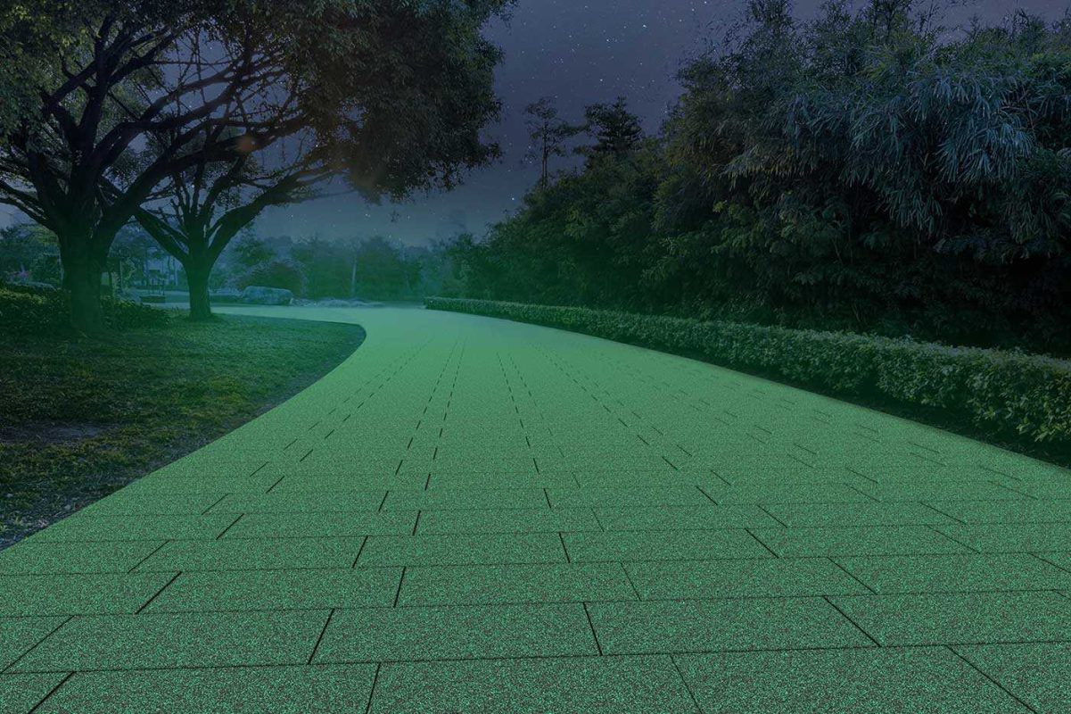 Viale parco di notte